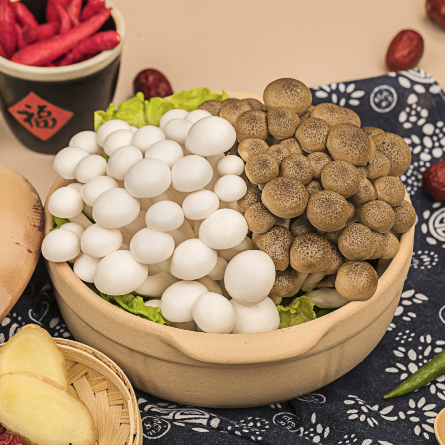 Fresh White Shimeji Mushrooms In Punnet: A Taste of Pure Elegance