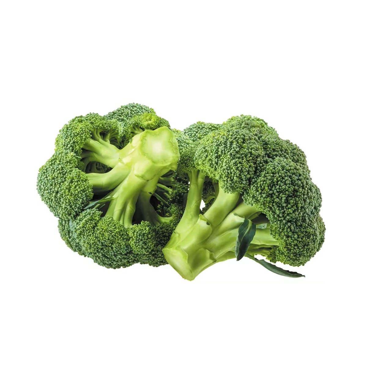 Organic Fresh Broccoli