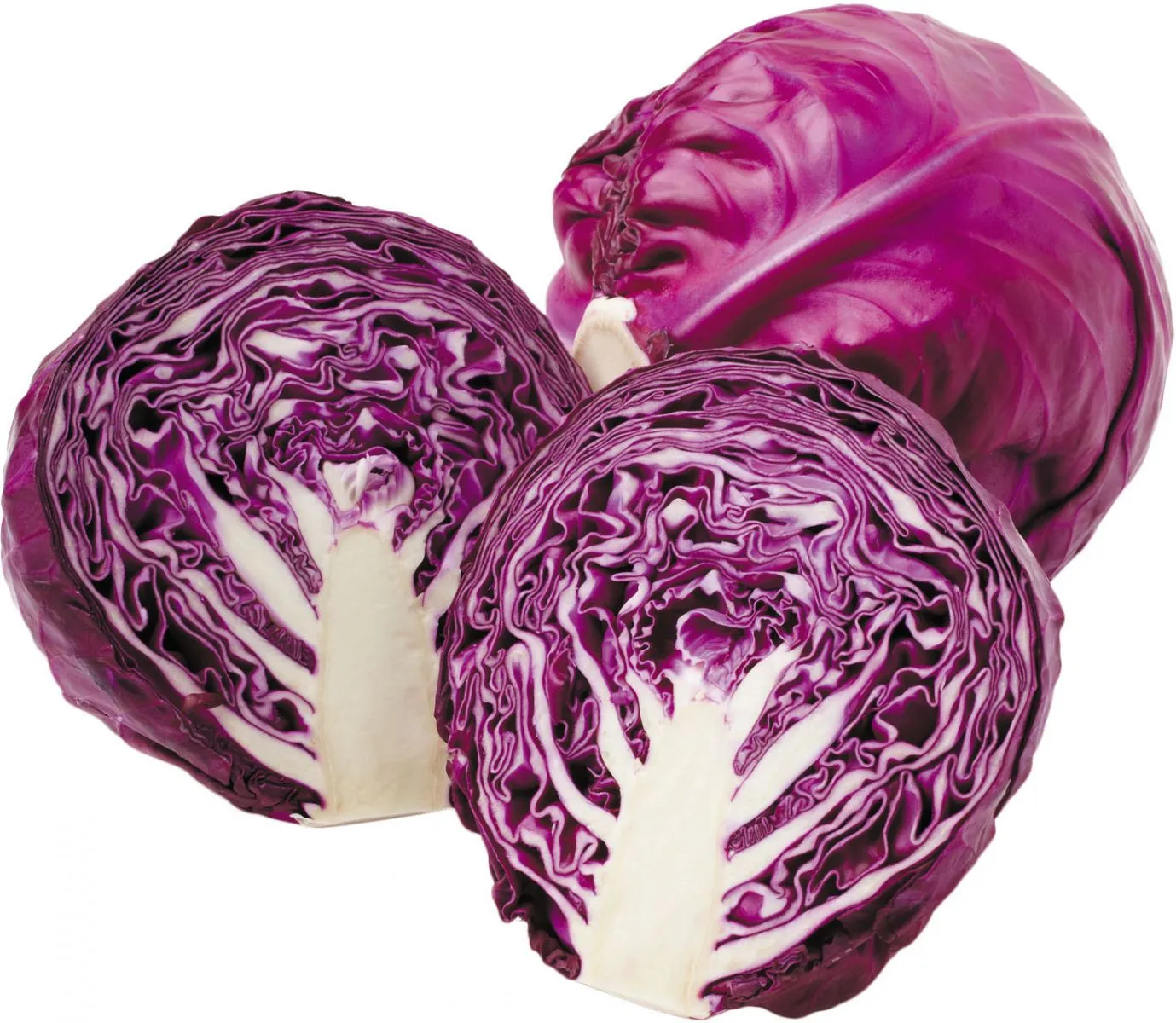  China Fresh Purple Cabbage