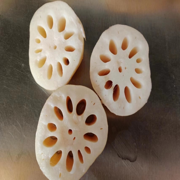 Fresh Lotus Root