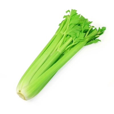 Fresh China Vegetables Nutritious Fresh Green  Celery