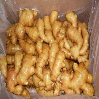 China Fresh Ginger