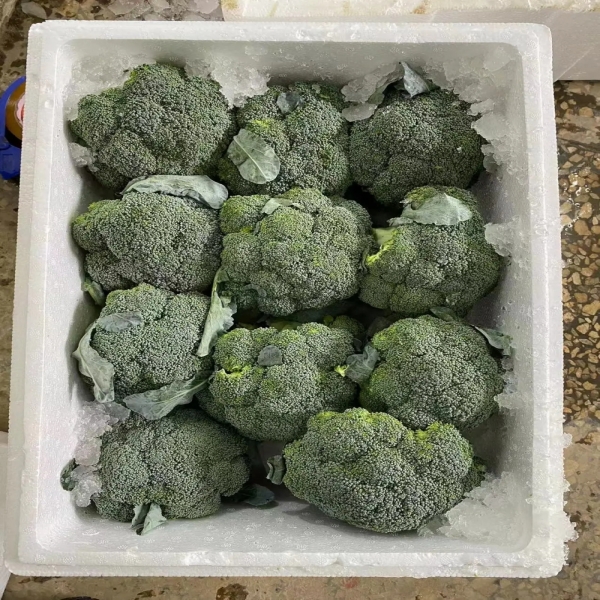 Organic Fresh Broccoli